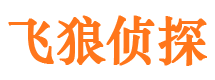 蛟河外遇调查取证